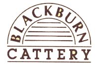 Blackburn Cattery